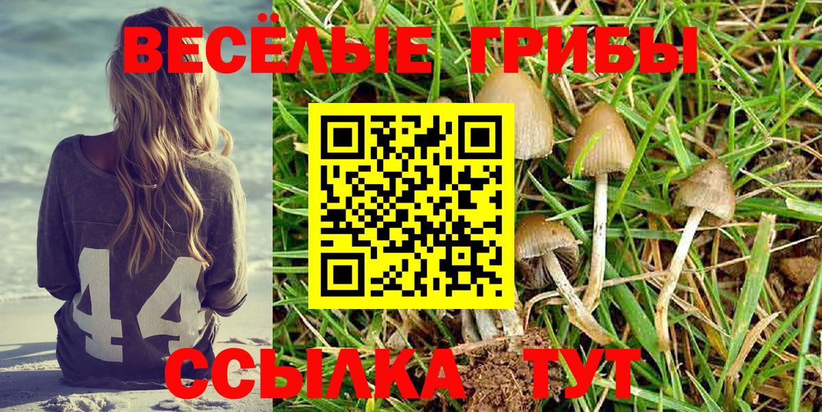 Галлюциногенные грибы Psilocybine cubensis  Вход с VPN  Волжский 